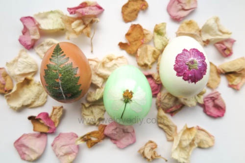 Easter Eggs with Pressed Flowers DIY 復活節壓花押花蝶谷巴特大人版彩蛋 (10)