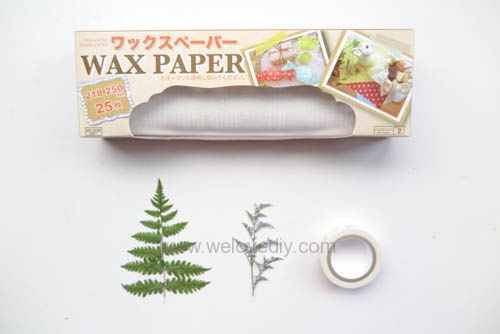 DIY 押花壓花植物燈籠燈罩家居擺飾春天夏天植樹節手工教學 (1)